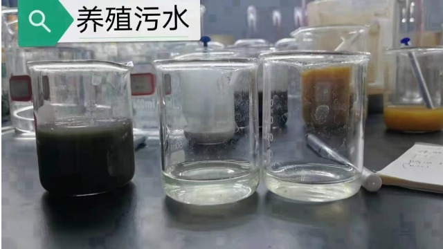 陽離子聚丙烯酰胺有何特性及作用？